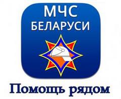 Пять правил, которые помогут не заблудиться в лесу