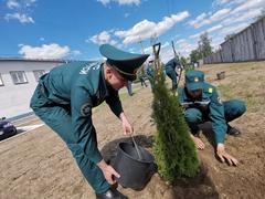 Хойники. Памятная алея.