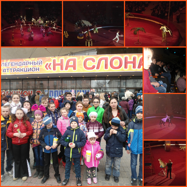 Цырк "ИНДИРА" Цырк "ИНДИРА"