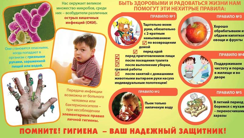 Профилактика острых кишечных инфекций в летний период. Профилактика острых кишечных инфекций в летний период.