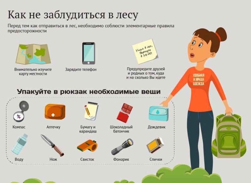 Как не заблудиться в лесу