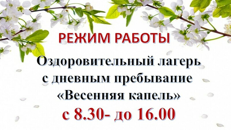 Оздоровительный лагерь "Весенняя капель"