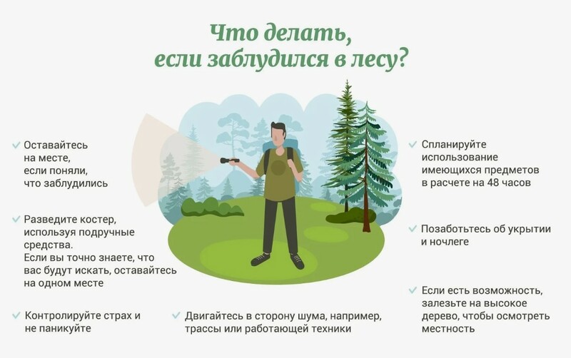 Что делать, если заблудились в лесу?
