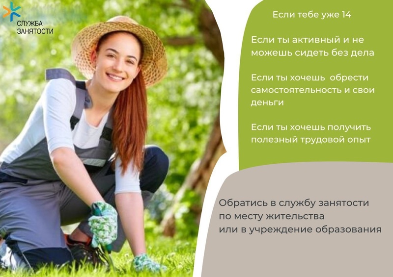 ТРУДОВАЯ ЗАНЯТОСТЬ ТРУДОВАЯ ЗАНЯТОСТЬ