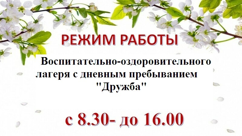 Воспитательно -оздоровительный лагерь "Дружба"